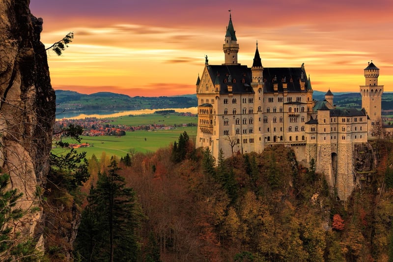 Castle in the Woods